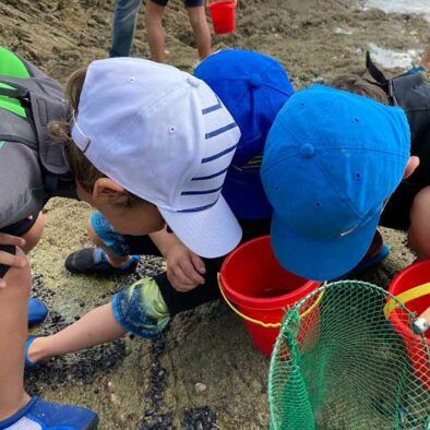 Stages de découverte du milieu marin pour les enfants âgés de 4 à 6 ans organisés par le CNBPP