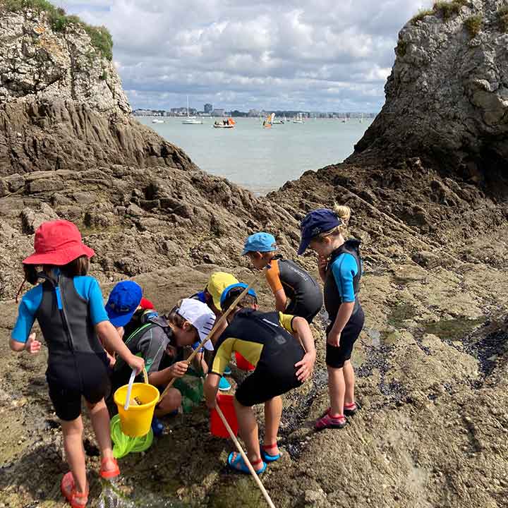 Stages de découverte du milieu marin pour les enfants âgés de 4 à 6 ans organisés par le CNBPP